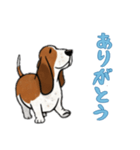 [ありがとう専用]バセットハウンド（個別スタンプ：2）