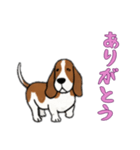 [ありがとう専用]バセットハウンド（個別スタンプ：3）
