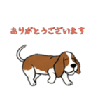 [ありがとう専用]バセットハウンド（個別スタンプ：6）