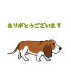 [ありがとう専用]バセットハウンド（個別スタンプ：7）