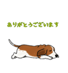 [ありがとう専用]バセットハウンド（個別スタンプ：8）