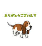 [ありがとう専用]バセットハウンド（個別スタンプ：9）