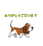 [ありがとう専用]バセットハウンド（個別スタンプ：10）