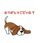 [ありがとう専用]バセットハウンド（個別スタンプ：11）