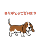 [ありがとう専用]バセットハウンド（個別スタンプ：12）
