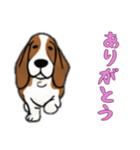 [ありがとう専用]バセットハウンド（個別スタンプ：13）