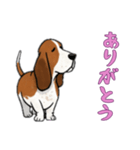 [ありがとう専用]バセットハウンド（個別スタンプ：14）