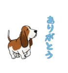 [ありがとう専用]バセットハウンド（個別スタンプ：15）