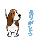 [ありがとう専用]バセットハウンド（個別スタンプ：16）