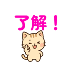 【 ネコのスタンプ 日常で使えます 感謝 】（個別スタンプ：1）