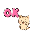 【 ネコのスタンプ 日常で使えます 感謝 】（個別スタンプ：5）