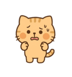 【 ネコのスタンプ 日常で使えます 感謝 】（個別スタンプ：11）