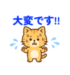 【 ネコのスタンプ 日常で使えます 感謝 】（個別スタンプ：15）