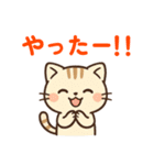 【 ネコのスタンプ 日常で使えます 感謝 】（個別スタンプ：17）