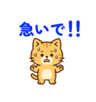 【 ネコのスタンプ 日常で使えます 感謝 】（個別スタンプ：19）