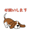 [お願いします専用]バセットハウンド（個別スタンプ：3）