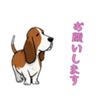 [お願いします専用]バセットハウンド（個別スタンプ：5）