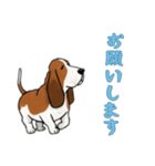 [お願いします専用]バセットハウンド（個別スタンプ：15）
