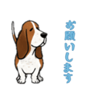 [お願いします専用]バセットハウンド（個別スタンプ：16）