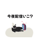 今夜配信いこ？白ニット帽の黒猫スタンプ（個別スタンプ：10）