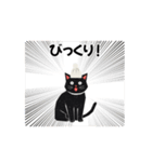今夜配信いこ？白ニット帽の黒猫スタンプ（個別スタンプ：14）