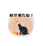 今夜配信いこ？白ニット帽の黒猫スタンプ（個別スタンプ：24）