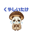 しいたけのパンダ（個別スタンプ：17）