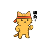 トラ猫のゆるかわ午年の挨拶スタンプ（個別スタンプ：13）