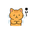 トラ猫のゆるかわ午年の挨拶スタンプ（個別スタンプ：21）