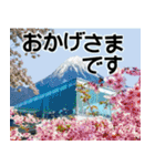 茨城県と富士山（個別スタンプ：6）