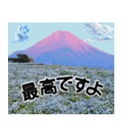 茨城県と富士山（個別スタンプ：8）