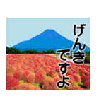 茨城県と富士山（個別スタンプ：12）