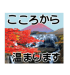茨城県と富士山（個別スタンプ：14）