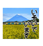 茨城県と富士山（個別スタンプ：15）
