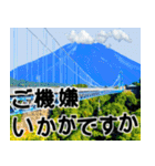 茨城県と富士山（個別スタンプ：19）
