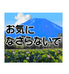 茨城県と富士山（個別スタンプ：26）