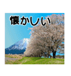 茨城県と富士山（個別スタンプ：27）