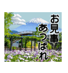 茨城県と富士山（個別スタンプ：30）