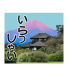 茨城県と富士山（個別スタンプ：31）