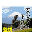 茨城県と富士山（個別スタンプ：38）