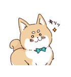 気持ちが伝わりやすい柴犬（個別スタンプ：1）