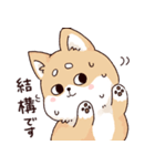 気持ちが伝わりやすい柴犬（個別スタンプ：2）