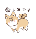 気持ちが伝わりやすい柴犬（個別スタンプ：4）