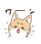 気持ちが伝わりやすい柴犬（個別スタンプ：6）