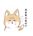 気持ちが伝わりやすい柴犬（個別スタンプ：10）