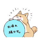 気持ちが伝わりやすい柴犬（個別スタンプ：12）