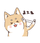 気持ちが伝わりやすい柴犬（個別スタンプ：13）