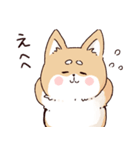 気持ちが伝わりやすい柴犬（個別スタンプ：15）