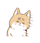 気持ちが伝わりやすい柴犬（個別スタンプ：16）