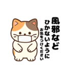 三毛猫のゆるかわお正月あそび（個別スタンプ：7）